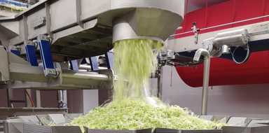 Production line in operation at Len Wright Salads