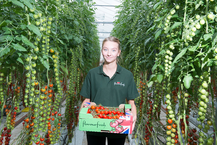 Member of staff looking at camera holding produce at Flavourfresh Salads